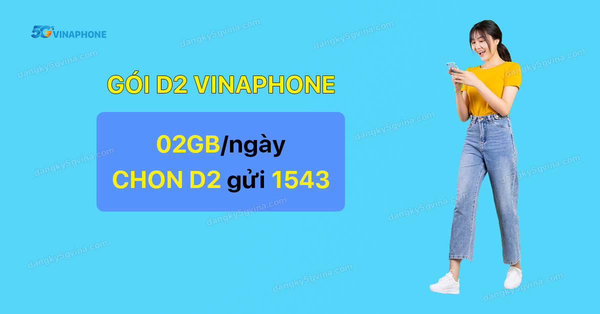 gói D2 VinaPhone