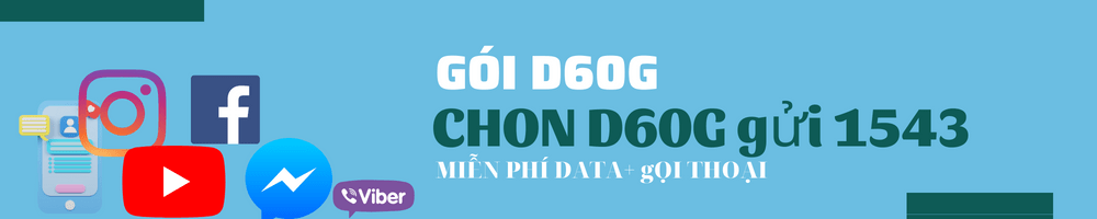 goi-4g-vina-d60g